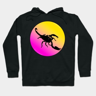 Scorpion Pink/Yellow Gradient Hoodie